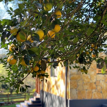 Casa De Campo Fichtelberger Hohenau מראה חיצוני תמונה