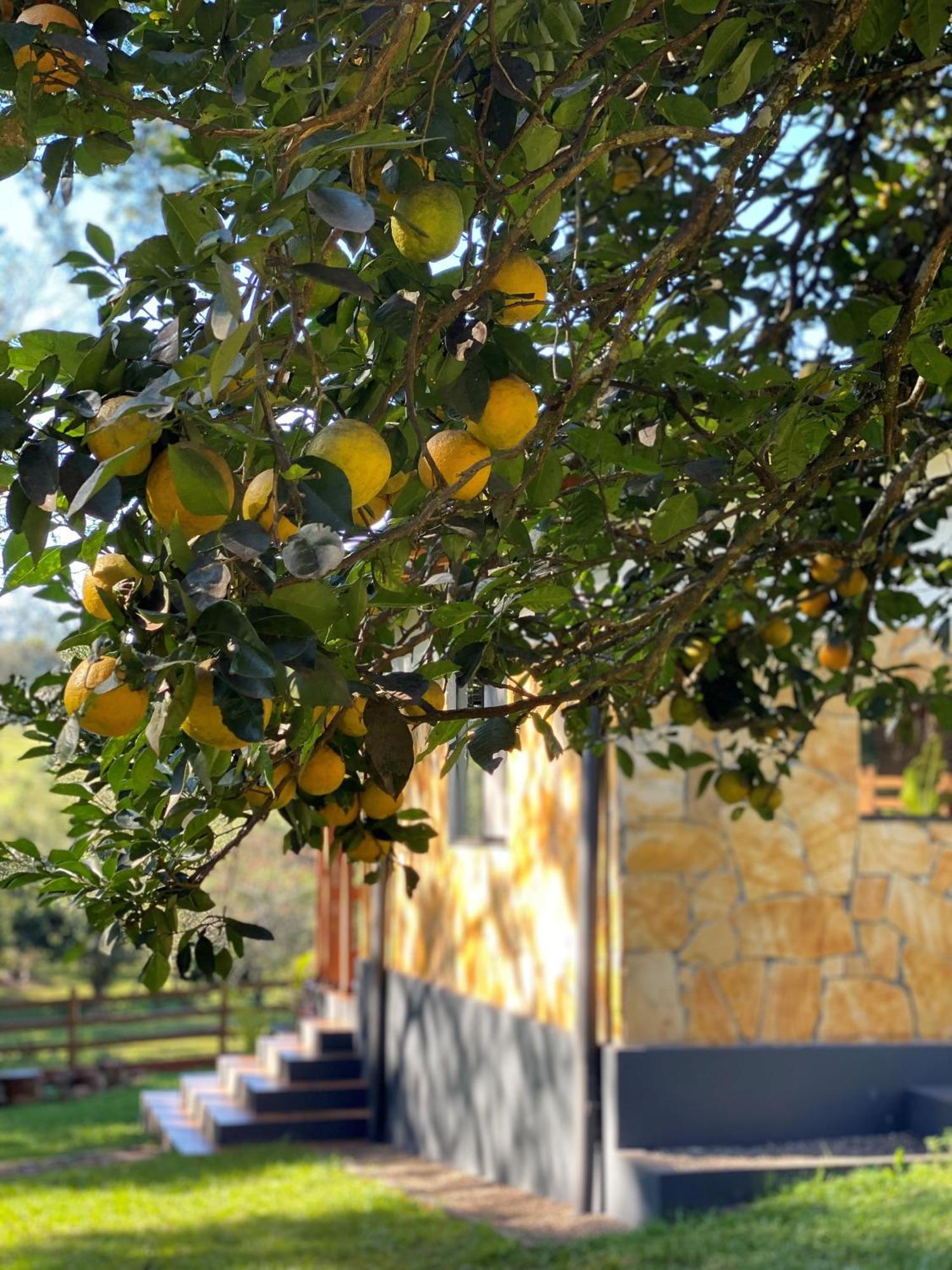 Casa De Campo Fichtelberger Hohenau מראה חיצוני תמונה